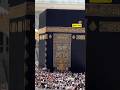 #aarukvlogs #love #saudiaarbia #viral #travel #popular #beautiful #duet #madina #trending #travel