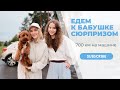 На машине за 700 км в деревню к бабушке  | ВЛОГ
