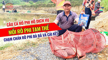 Câu cá rô phi hồ dịch vụ - Mồi Rô Phi Tam Thế chạm chán rô phi bà bà và cái kết