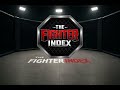 What is The Fighter Index?