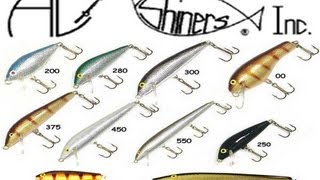 AC Shiners