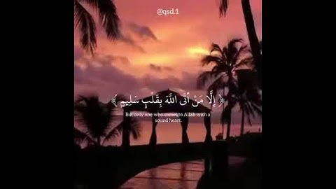 آيات من سورة الشعراء بصوت القارئ أنس شهاب 💕
