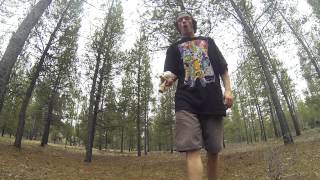 Chris June Kendama Co Go With The Co