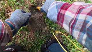 Hunting Curb Strip: Trash & Pennies