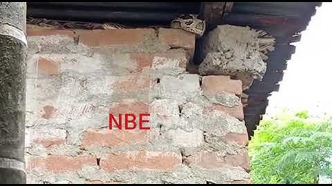 A GIRL RESCUED INDIAN ROCK PYTHON FROM A CEILING OF A HOUSE NESR BAGDOGRA