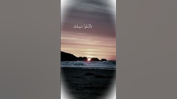 تلاوة عطرة للشيخ محمد صديق المنشاوي #قران_كريم #القرآن_الكريم #اكسبلور #لايك #الله #قرآن #quran