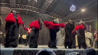 Urșii Din Poduri Spectacol Pe Scena Din Moinesti Poduri Bear Dance