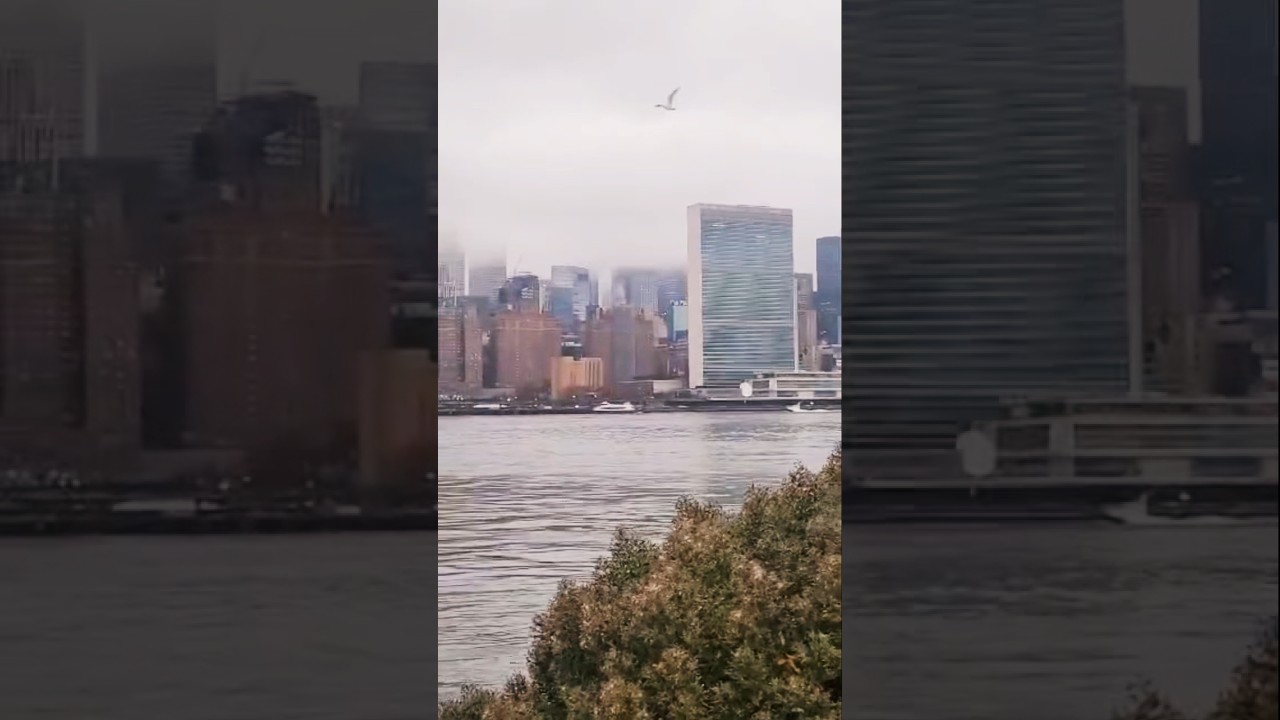 Live a life that synchronizes your inner & outer world; joy exists only in such alignment 💫#shorts