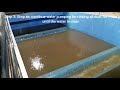 Water treatment process - Backwash water filter by sand