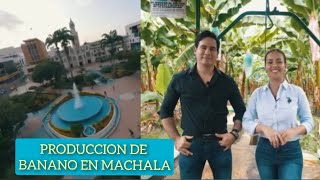 Video sobre la ciudad de Machala y su produccion de Banano