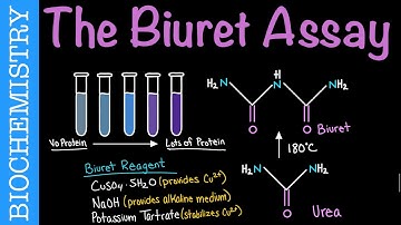 Protein Quantitation via the Biuret Assay | Biochemistry