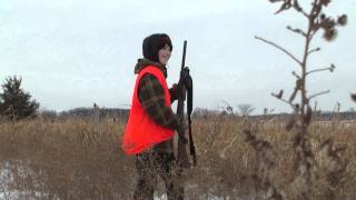 Pointing Lab - Bold Bear Video: Pheasant-8: Winds Bird, Sneaks, NZ Shoots