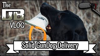 Solid GunDog Delivery w/ Tim Seguin of Blazing GunDogs | Ep: 234 by DogBoneHunter 466 views 2 months ago 2 hours, 16 minutes