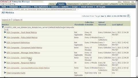 How to Harvest Run-Time Metrics into Oracle Enterprise Repository Assets