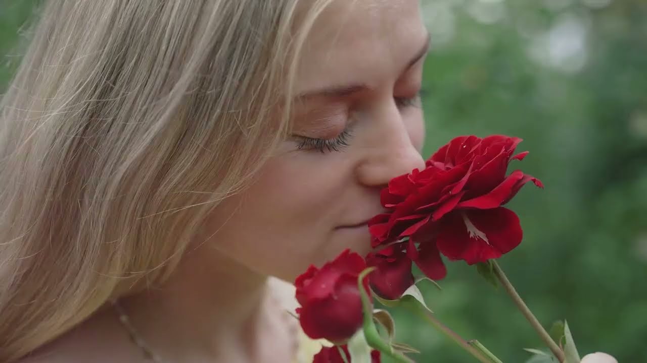 Mental Faculty: The Concept of Perception