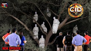       Cid         Cid    Latest Episode