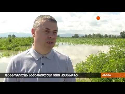 დატბორილი სავარგულები აბაშაში