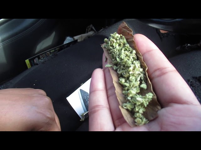 How To Roll A Grabba Spliff