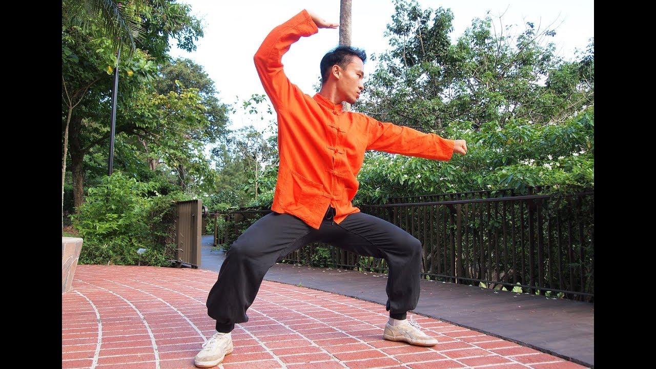 Traditional Hainan Martial Arts in Singapore 传统海南功夫 (新加坡) YouTube
