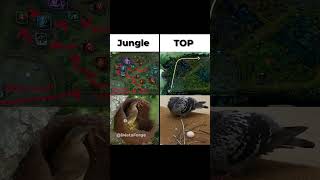 Same game  Different responsibilities 🗿