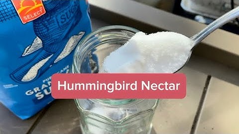 How to Make Hummingbird Nectar