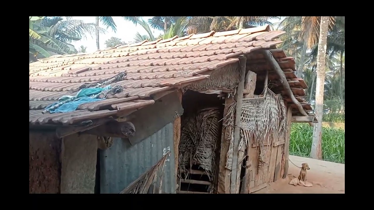 ಅಜ್ಜಿ ಮನೆಗೆ ಬಂದ್ವಿ♥️