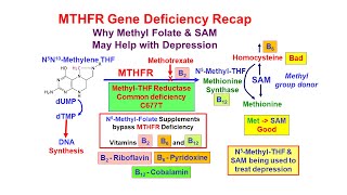 Methyl Folate Deficiency and Depression