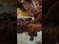 Tasty 😋#shorts #shortvideo #youtubeshorts #trending #short