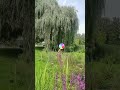 Good Mood for You💚😊🎶 #garden #flowers #summer #beautyfulplaces #inspiration