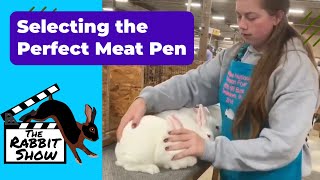 Selecting the Perfect Meat Pen