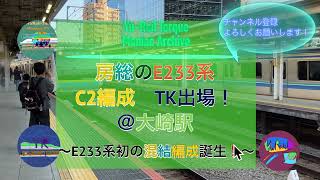 Boso E233 series C2 formation leaves TK! @Osaki Station ~Yu-Rail Torque Maniac Archive~ 4K