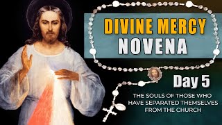 Divine Mercy Novena & Chaplet - Day 5