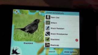 Chirp! Review