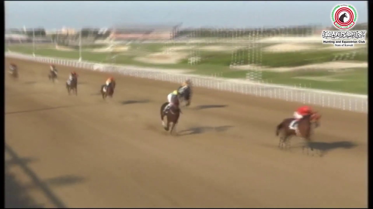 الاجتماع(6)الشوط(1)الجواد نجم الدعية : لسطبل الدعية