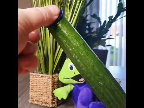 ASMR Experiment with Cucumber and Condom #shorts