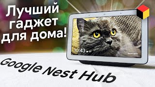 Самый умный дисплей в мире: Google Nest Hub