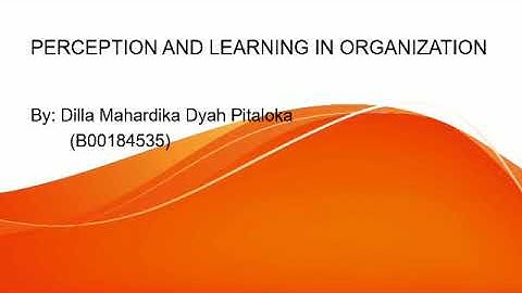 PERCEPTION AND LEARNING IN ORGANIZATION