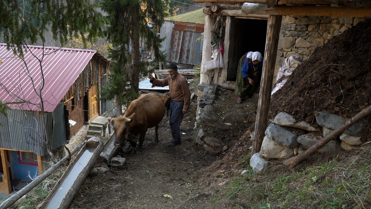 Mezradaki Ailenin Zorlu Hayatı I Kışlaya Göç I Belgesel Film..