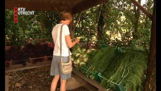 Biologische Boerderij Doet Het Natuurlijk