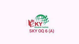 SKY OQ 6 A