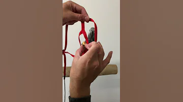 How To Put A Parrot Harness Check This Video African Grey 