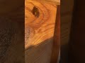 Bee Ralaxing Shorts Viral Tiktok Love Funny Trending Subscribe Love 