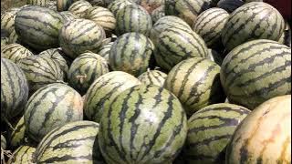 Part 2 naik kesamangka ke atas lori/mobil