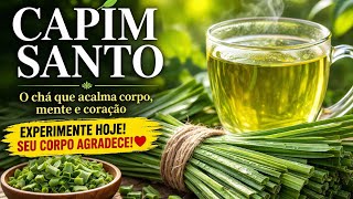 7 benefícios do CHÁ do capim-santo que ninguém te conta! MENOS ANSIEDADE E MELHOR SONO! EXPERIMENTE!