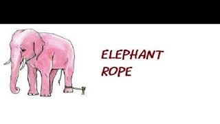 Details The Elephant Rope Story: Inspiring Lessons on Freedom & Breaking Free Update