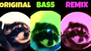 Dancing raccoon Raffaella Carrà - Pedro Original vs Bass vs Remix Version part 2