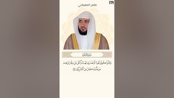 ماهر المعيقلي سورة البقرة آية 135 (وقالوا كونوا هوداً او نصارى) | Mahmoud Okasha