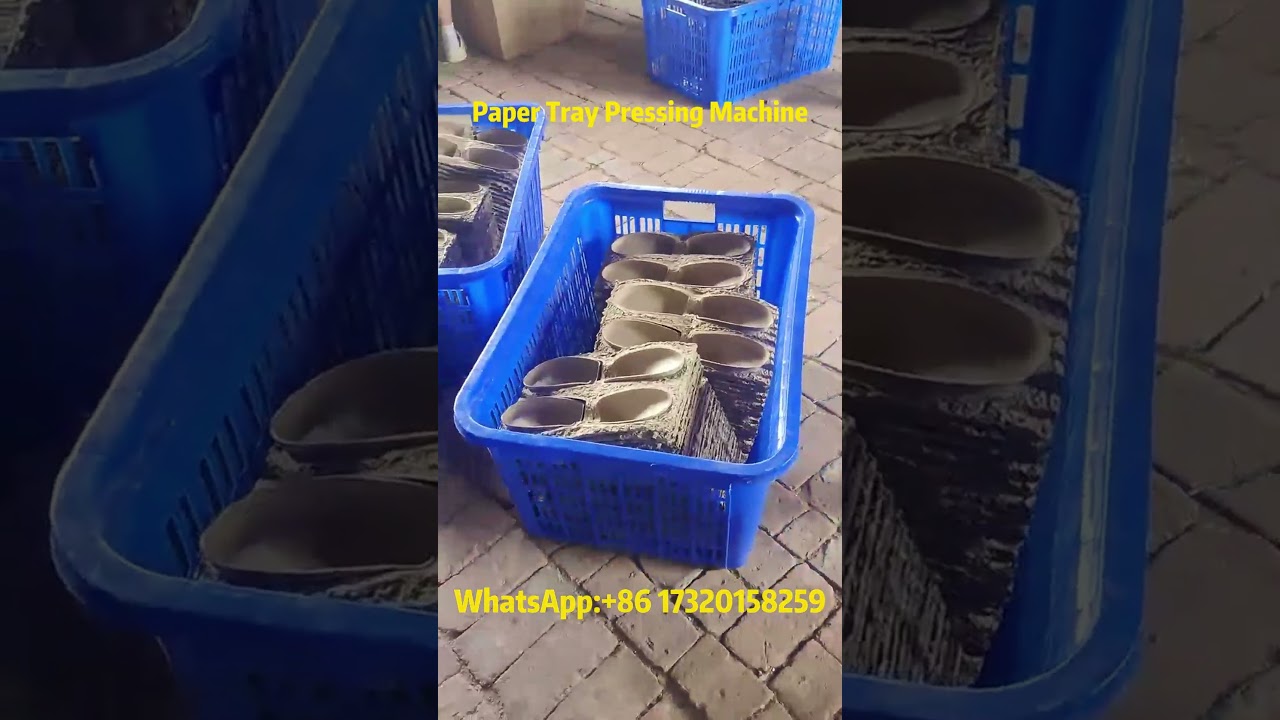 Paper Pulp Tray Molding Machine | Efficient Tray Pressing in Action 📦✨