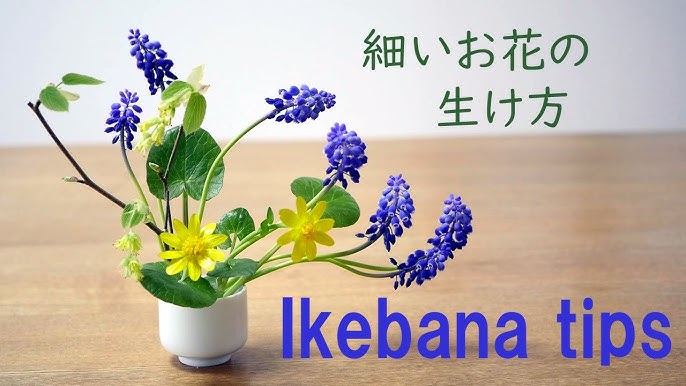 生け花 水揚げから生けるまで Ikebana 水切り 逆さ水 Improve The Flower S Ability To Drink Up Water Tips 提高花朵喝水的能力 持久花 Youtube