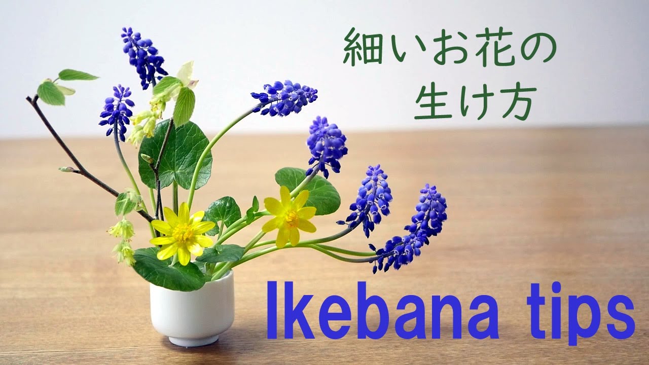 生け花 細すぎるお花の生け方 Ikebana 裏ワザでムスカリを生ける Ikebana Tips 池上技巧 Conseils Ikebana 이케 바나 팁 Tipps Consejos Youtube